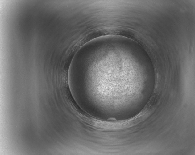 X0000054430048200508051844