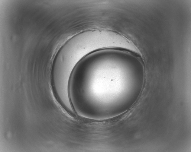 X0000054430049200508051843