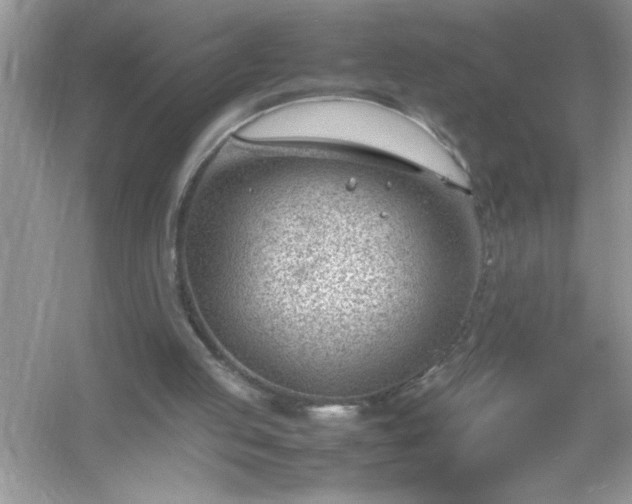 X0000054430053200508051843