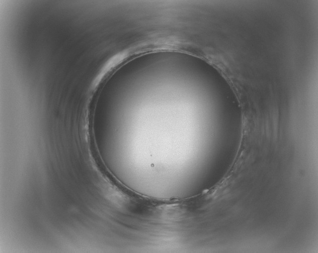 X0000054430054200508051843