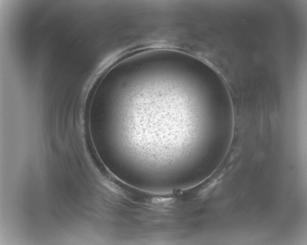 X0000054430055200508051843