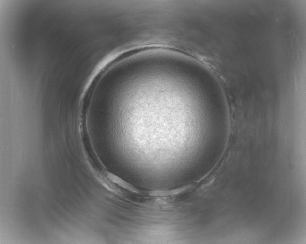 X0000054430056200508051843