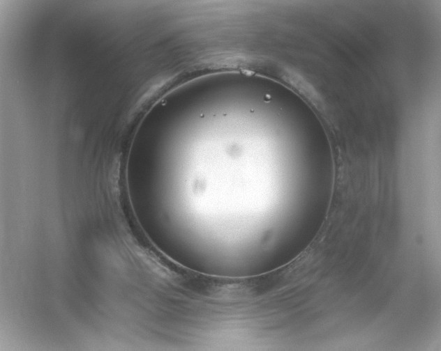 X0000054430058200508051843