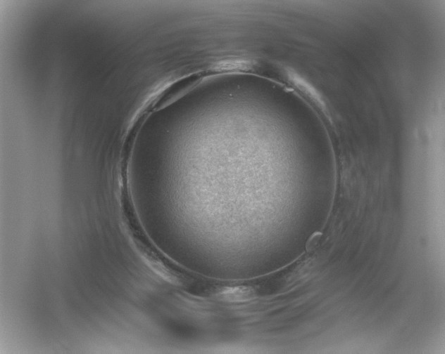 X0000054430059200508051843