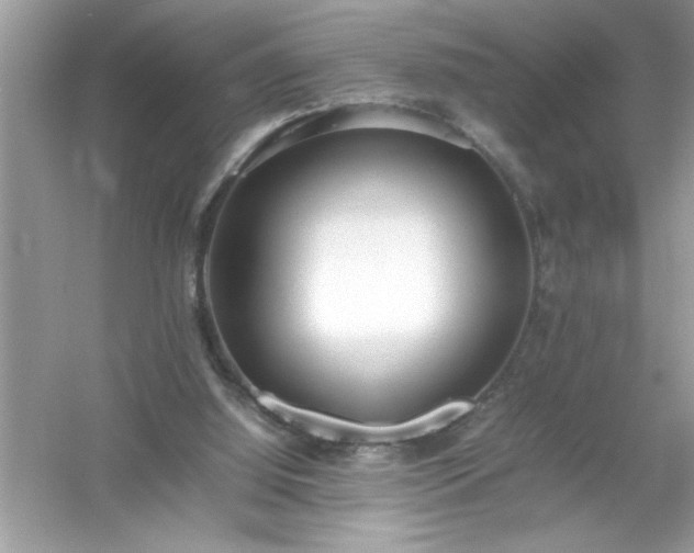 X0000054430060200508051843