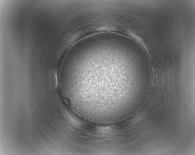 X0000054430061200508051843