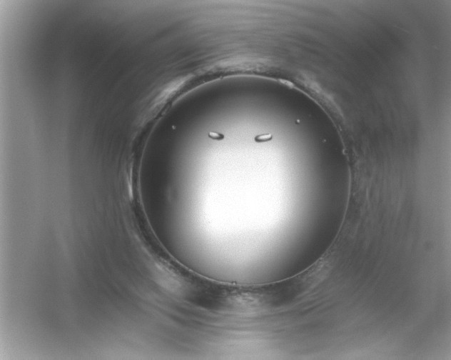 X0000054430062200508051843