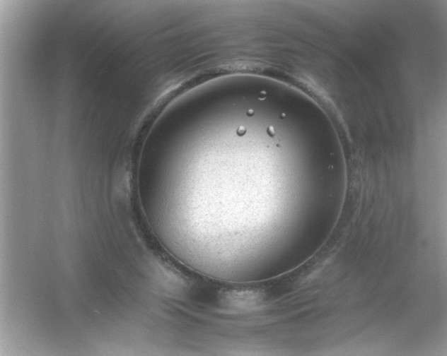 X0000054430063200508051843