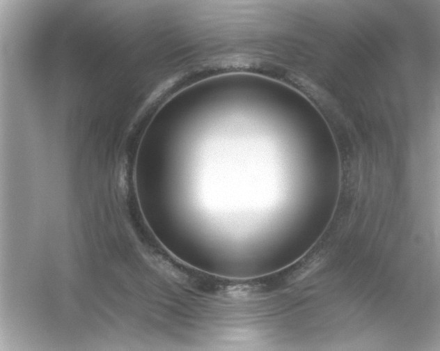 X0000054430064200508051843