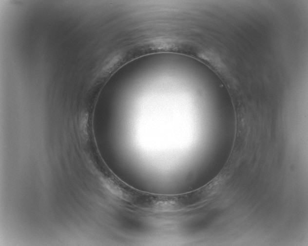 X0000054430066200508051843