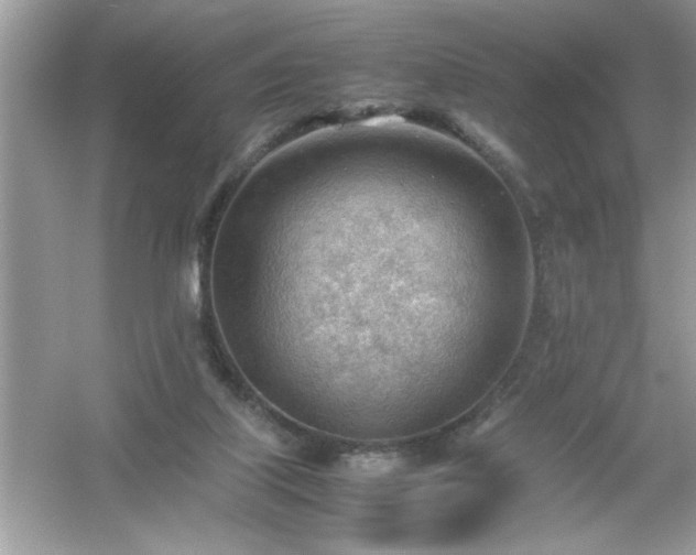 X0000054430067200508051843