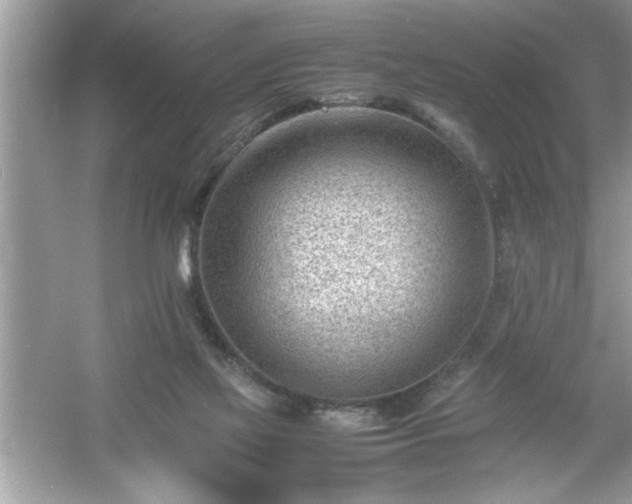 X0000054430069200508051843