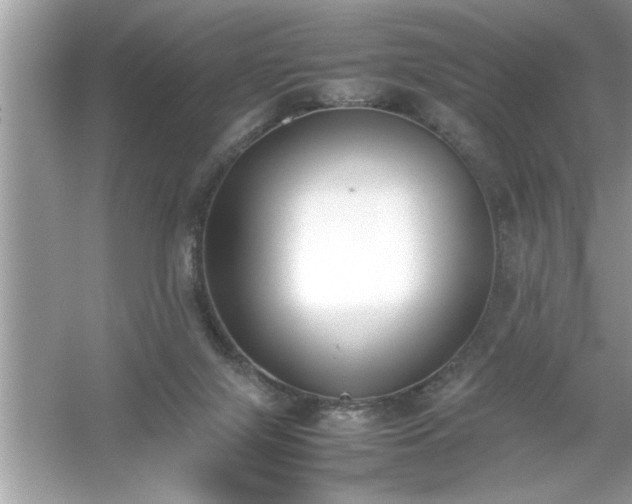 X0000054430071200508051843