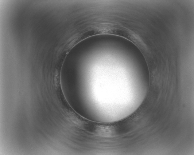 X0000054430073200508051844