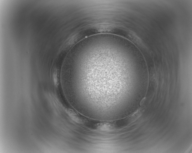 X0000054430074200508051844