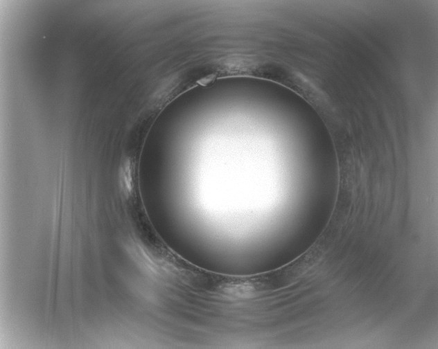 X0000054430075200508051844