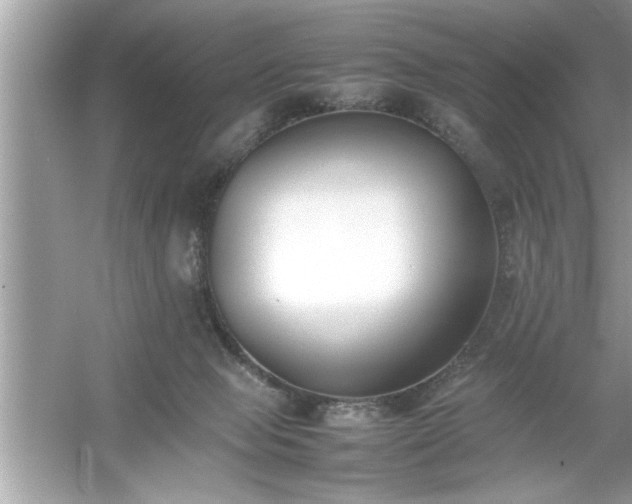 X0000054430077200508051844