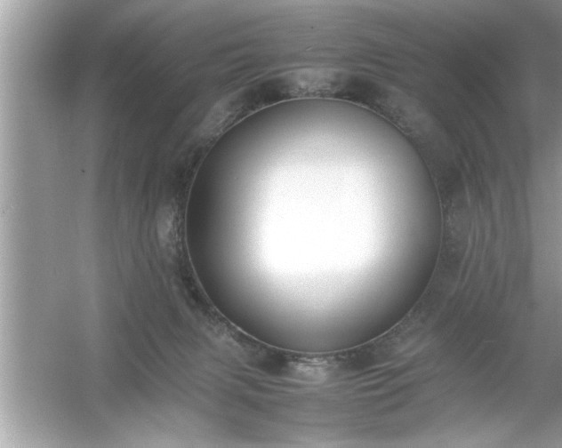 X0000054430079200508051844