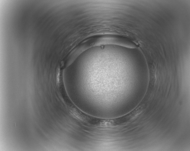 X0000054430080200508051844