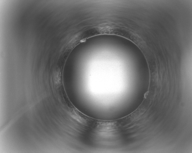 X0000054430081200508051844