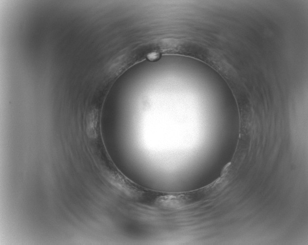 X0000054430082200508051844