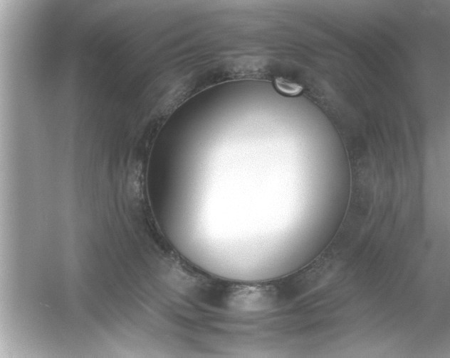 X0000054430083200508051844