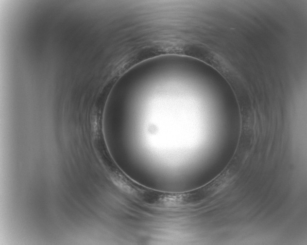 X0000054430084200508051844