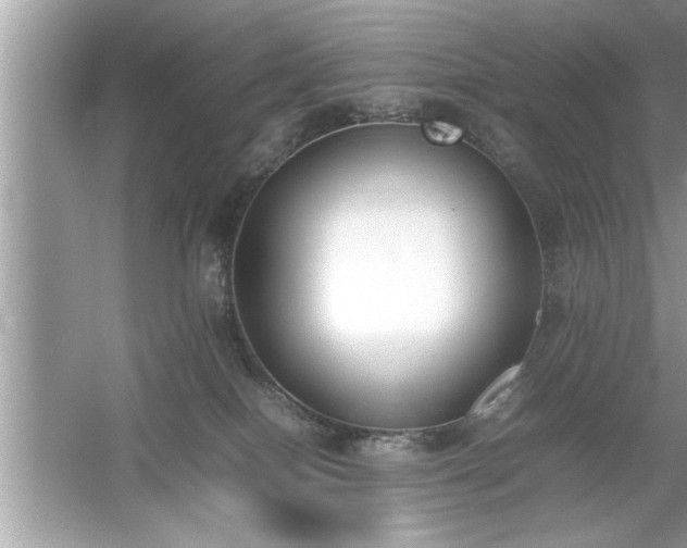 X0000054430086200508051844