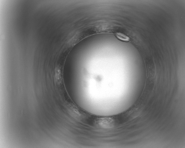 X0000054430087200508051844