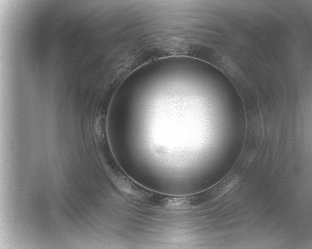 X0000054430088200508051844