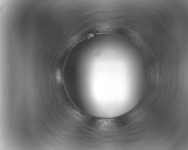 X0000054430089200508051844