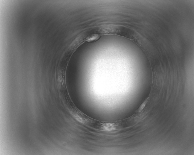 X0000054430091200508051844