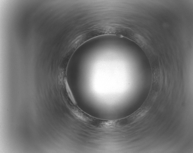 X0000054430092200508051844