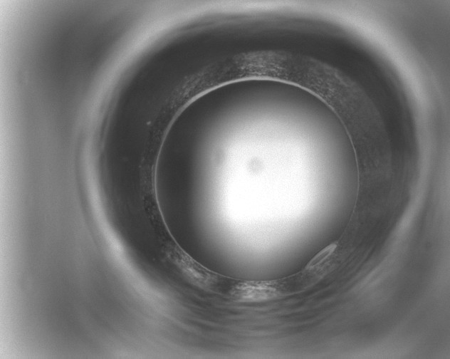 X0000054430093200508051844