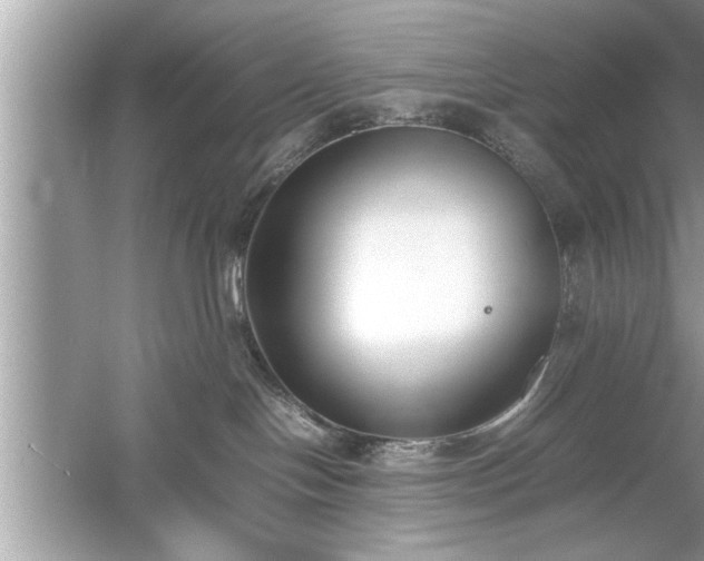 X0000054430094200508051844