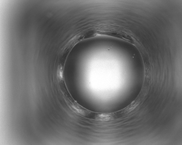 X0000054430095200508051844