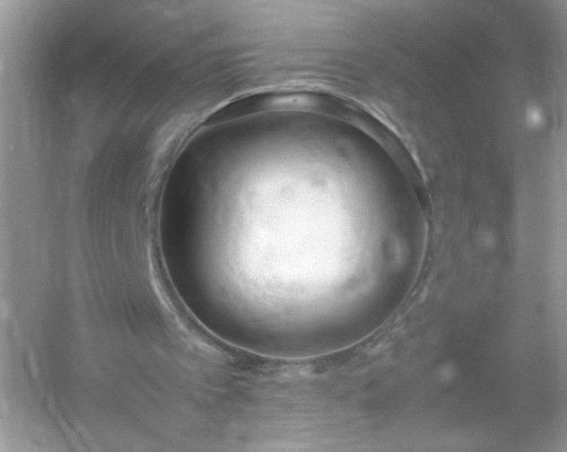 X0000054430097200508051843