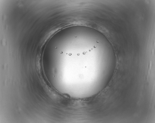 X0000054430098200508051843