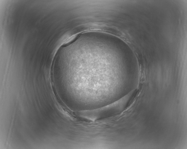 X0000054430099200508051843