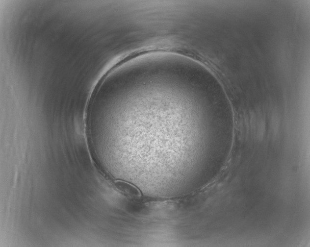 X0000054430100200508051843