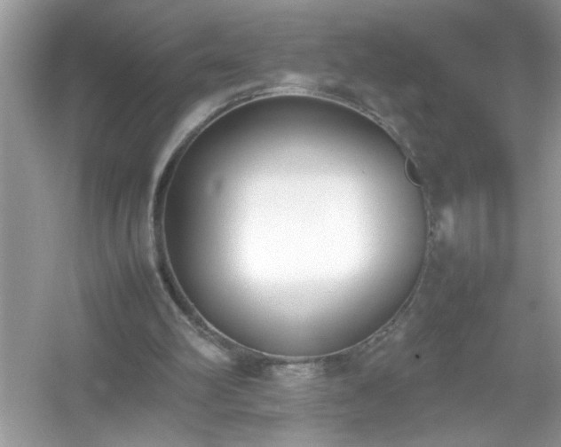 X0000054430102200508051843