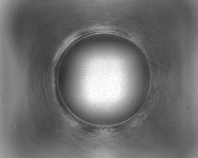 X0000054430103200508051843