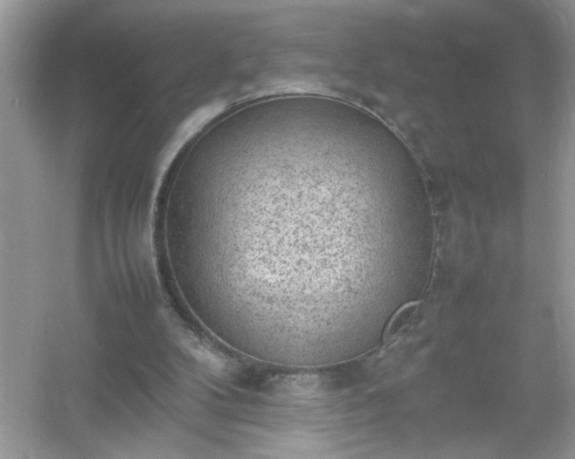 X0000054430104200508051843