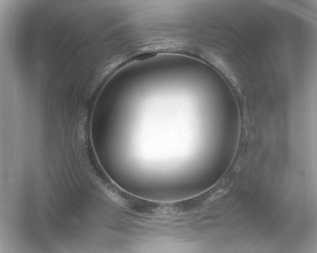 X0000054430105200508051843