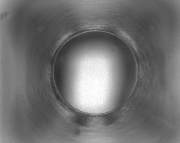 X0000054430107200508051843