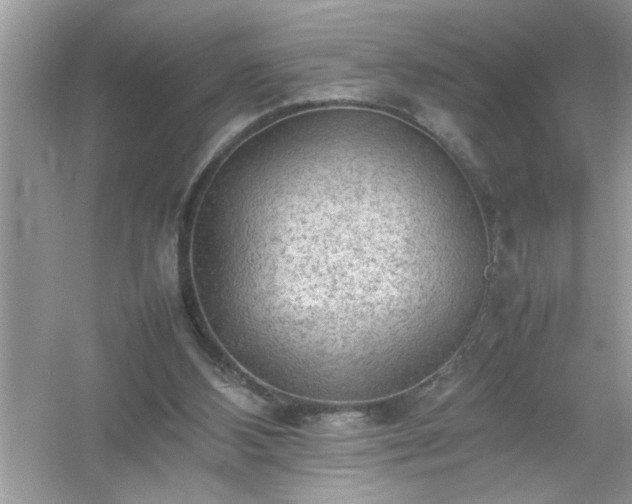 X0000054430108200508051843