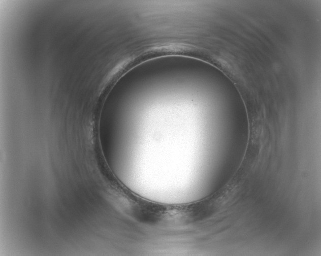 X0000054430111200508051843