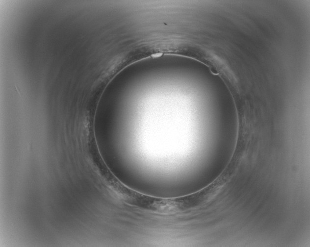 X0000054430113200508051843