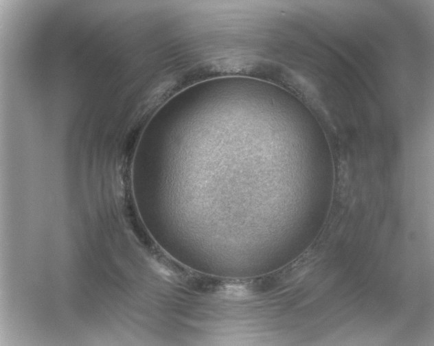 X0000054430114200508051843