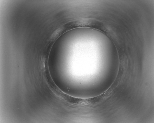 X0000054430115200508051843